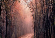 红色风暴席卷费拉里斯！热那亚力克马竞，淘汰赛曙光在望