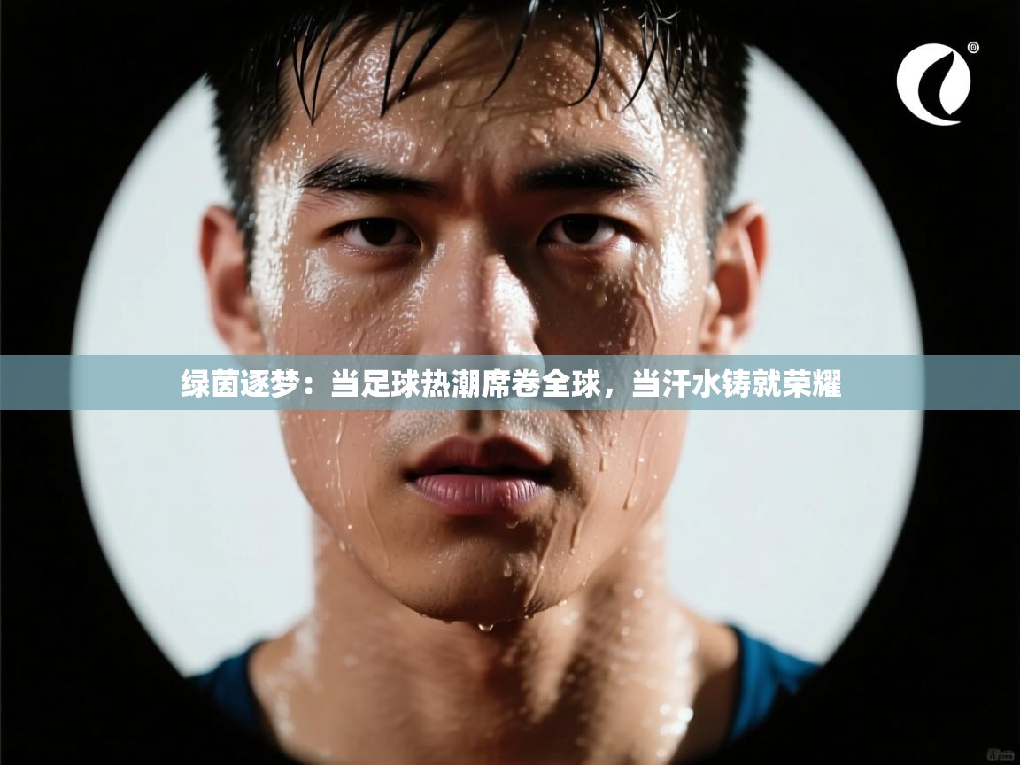 绿茵逐梦：当足球热潮席卷全球，当汗水铸就荣耀